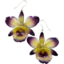 Full - Chrysotoxum - Purple